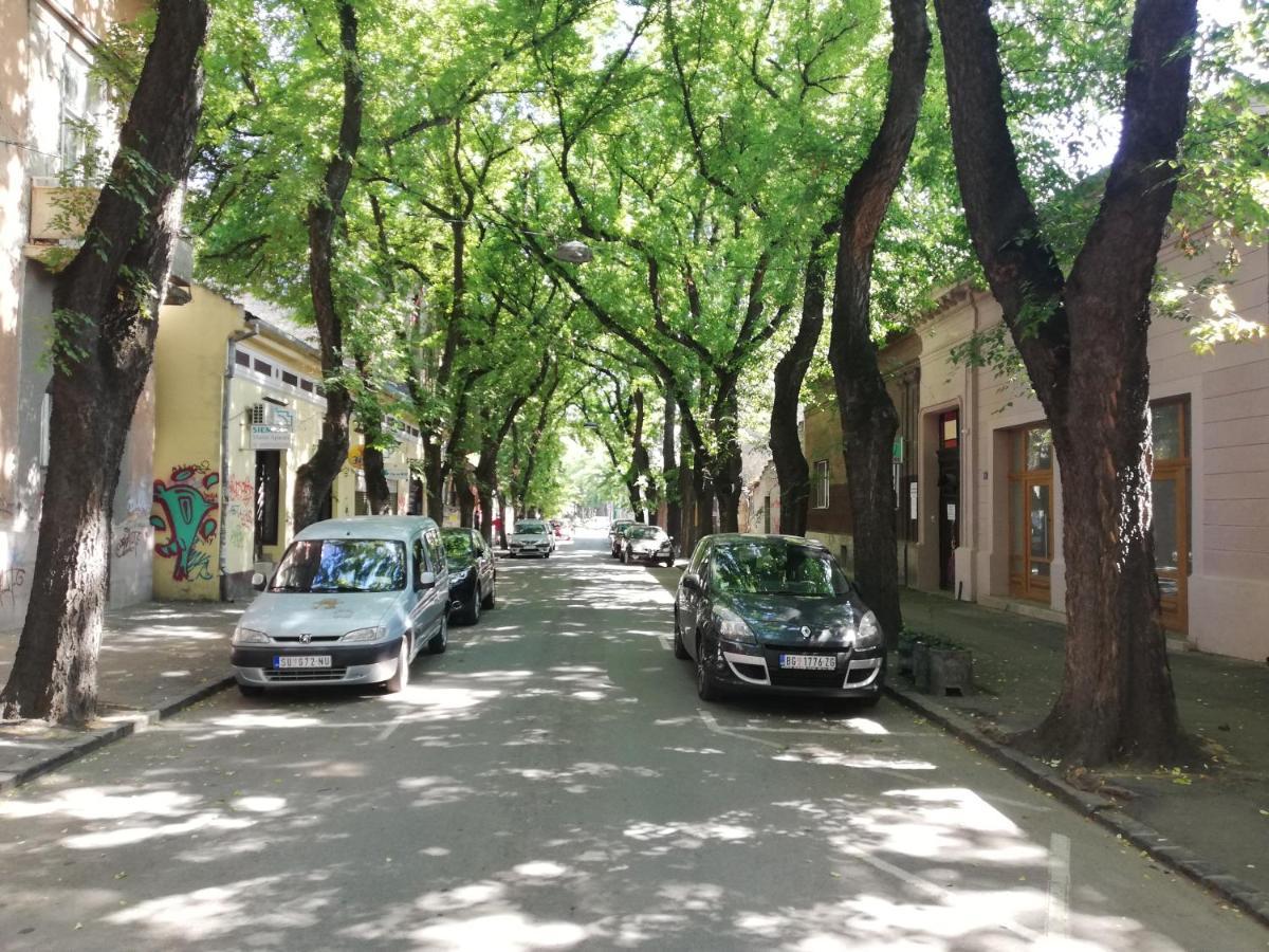 Apartman Park 苏博蒂察 外观 照片